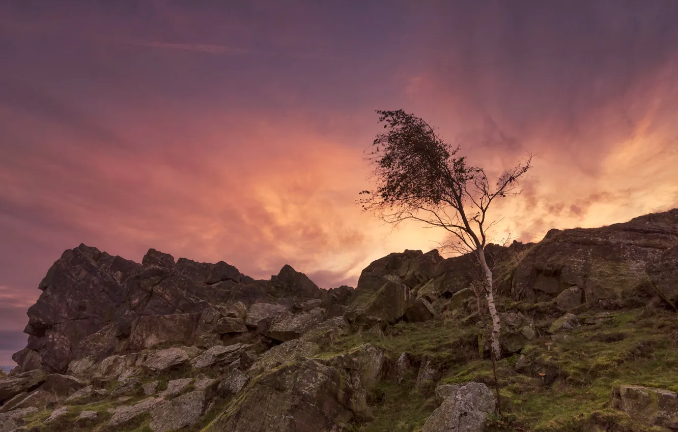 Фото обои камни, дерево, скалы, Англия, зарево, Лестершир