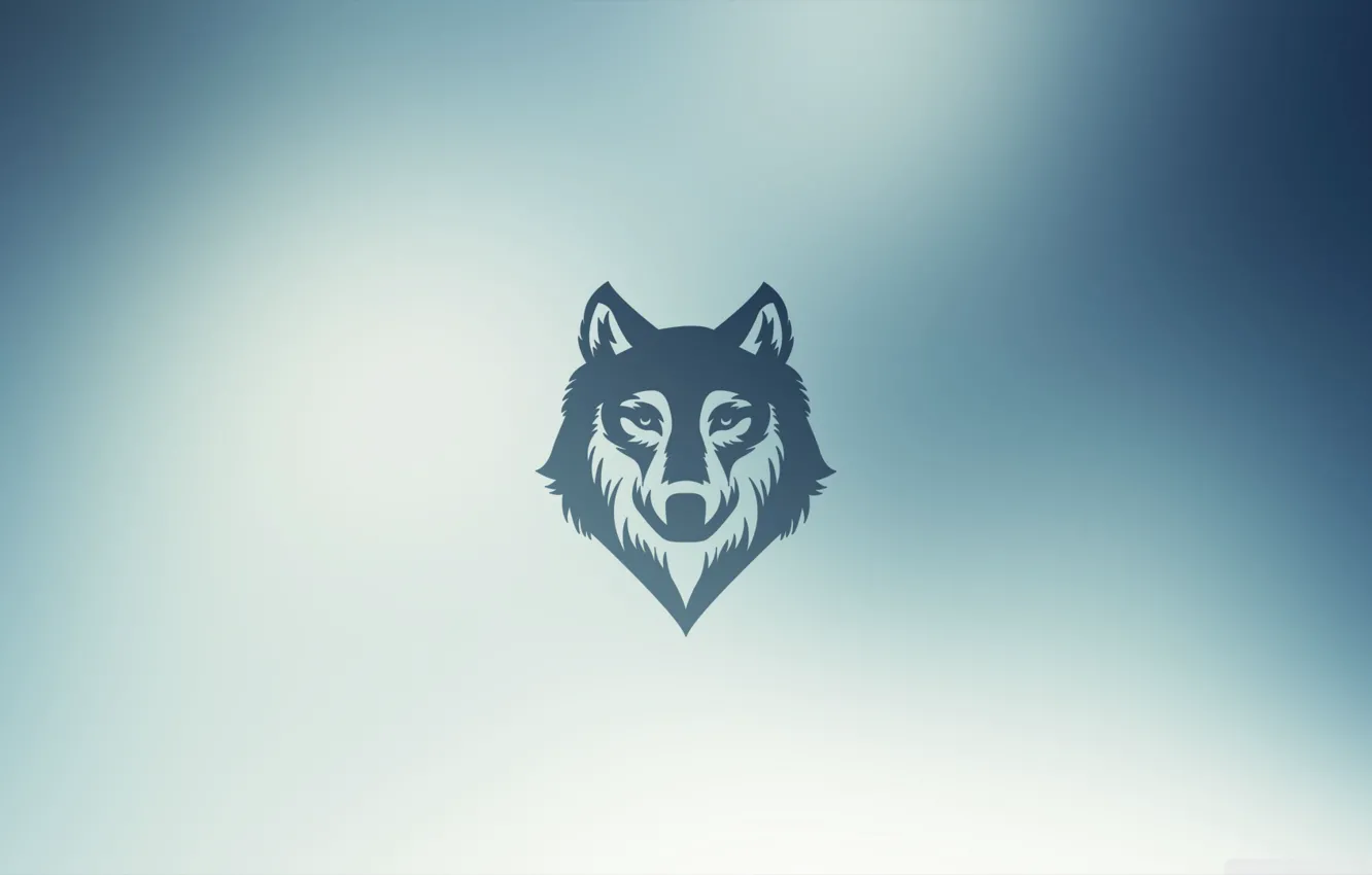 Фото обои волк, blur, wolf