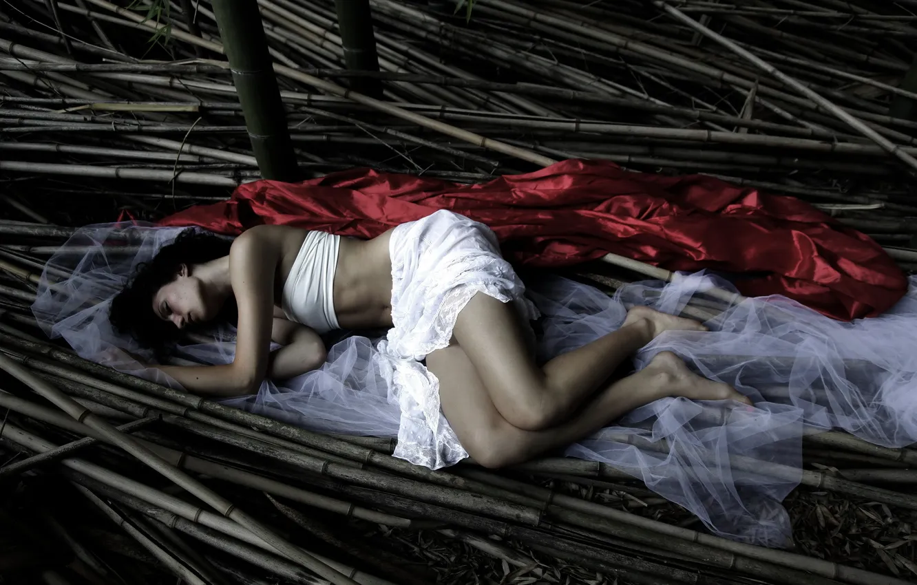 Фото обои девушка, сон, бамбук