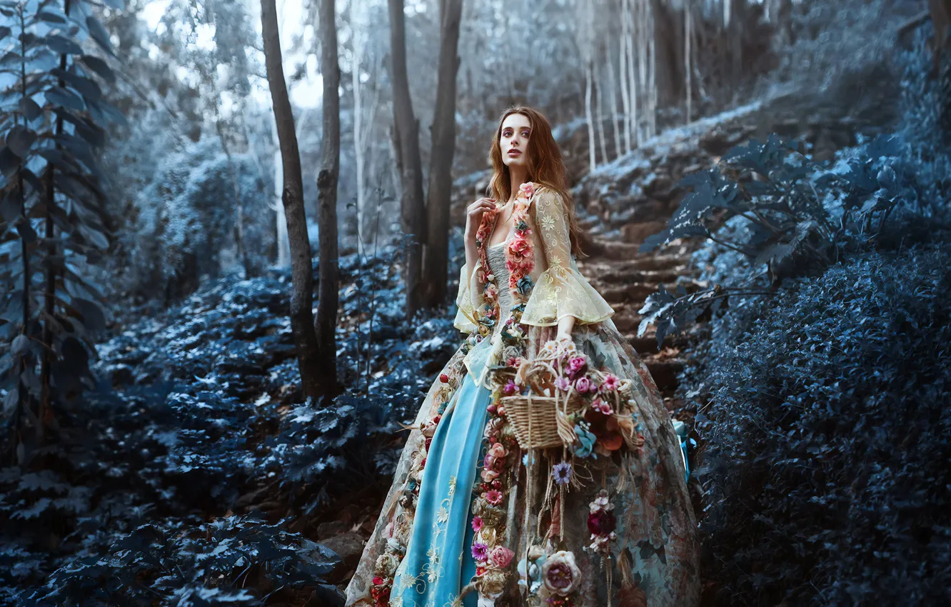 Фото обои лес, взгляд, девушка, цветы, поза, корзина, платье