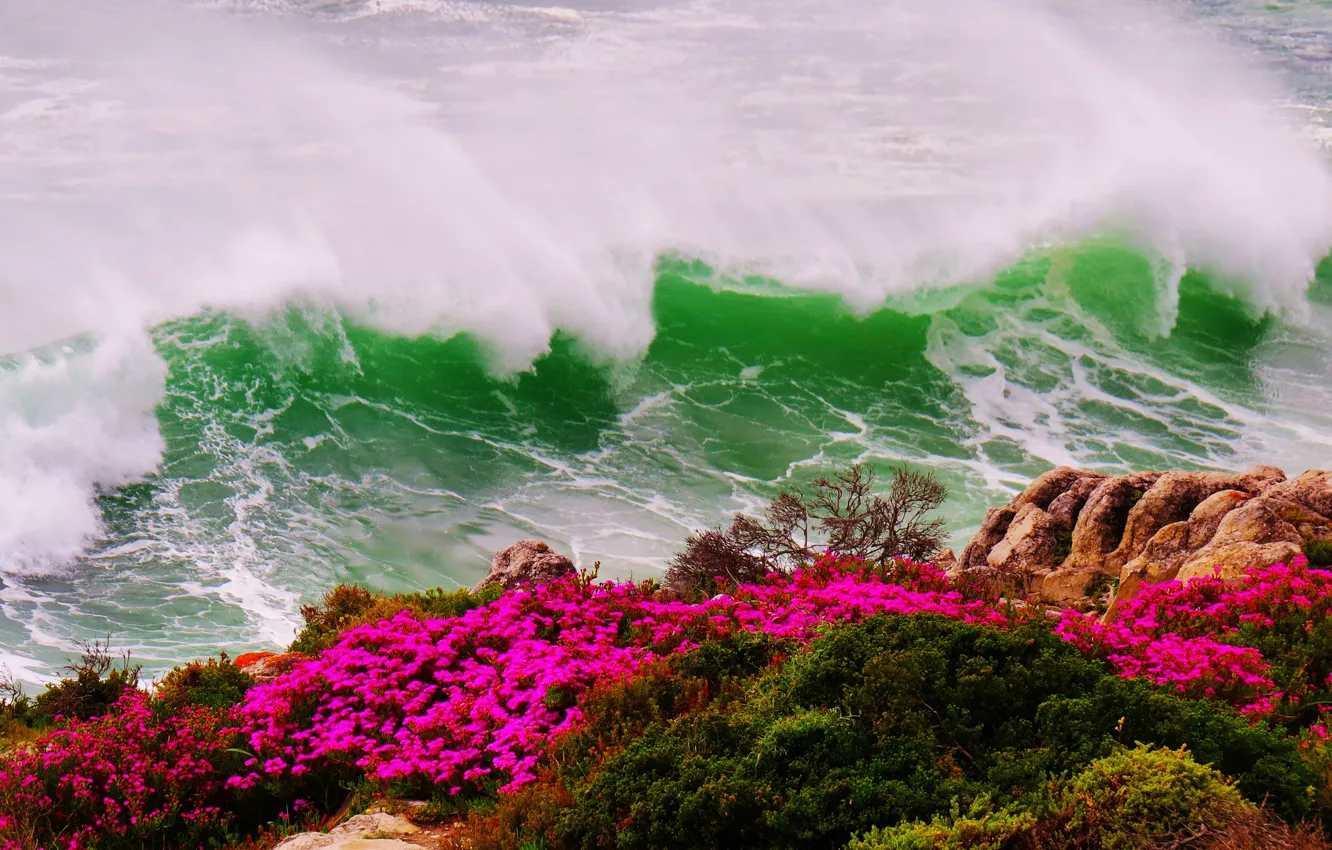 Фото обои море, волны, цветы, шторм, скала, берег