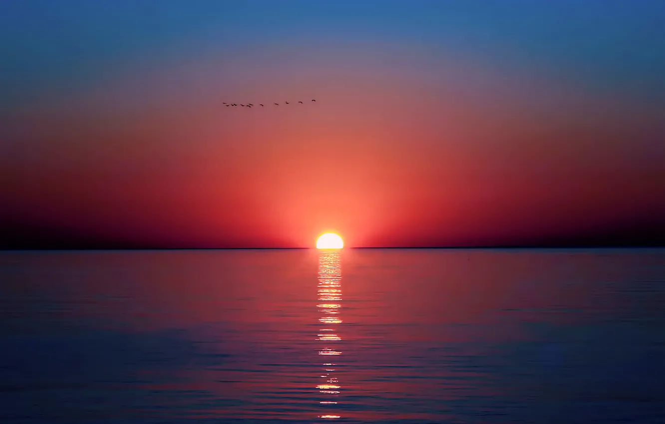 Фото обои море, небо, солнце, закат, птицы, отражение