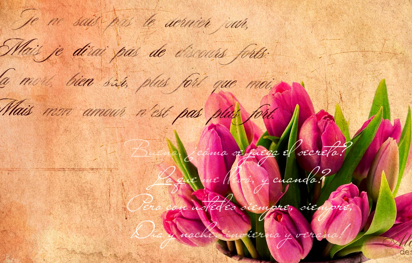 Фото обои текст, ретро, тюльпаны, гранж