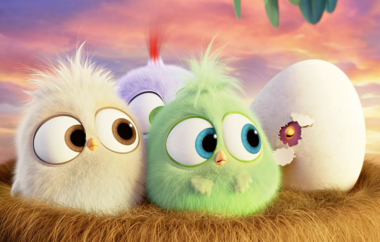 Фото обои мультфильм, яйцо, гнездо, птички, Hatchlings Angry Birds