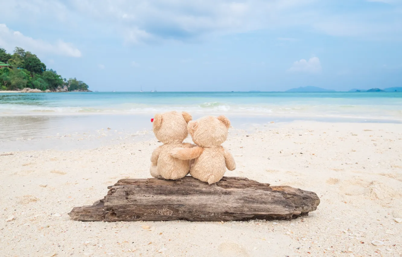 Фото обои песок, море, пляж, любовь, игрушка, медведь, мишка, пара