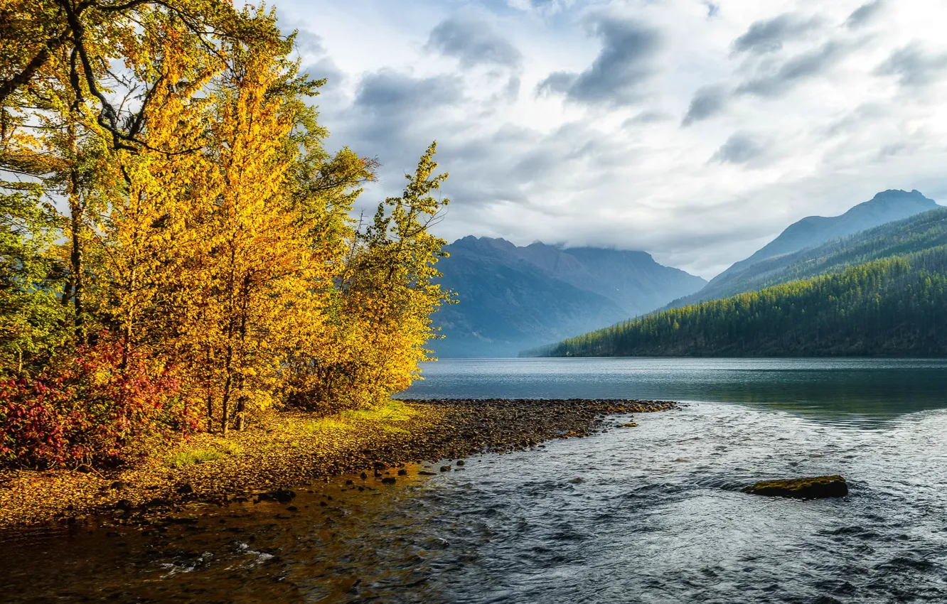 Фото обои осень, лес, небо, листья, вода, облака, деревья, горы