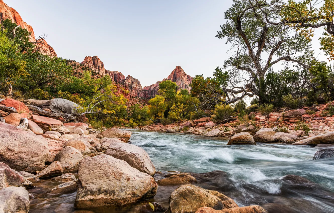 Фото обои река, камни, Юта, США, Zion National Park