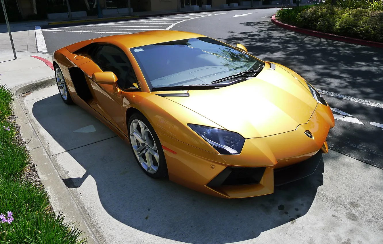 Фото обои дорога, жёлтый, разметка, тень, lamborghini, вид сбоку, yellow, aventador