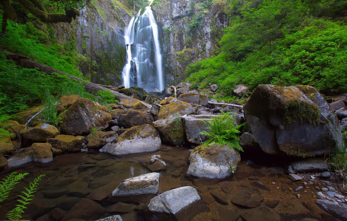 Фото обои зелень, вода, камни, водопад, Калифорния, USA, США, папоротник