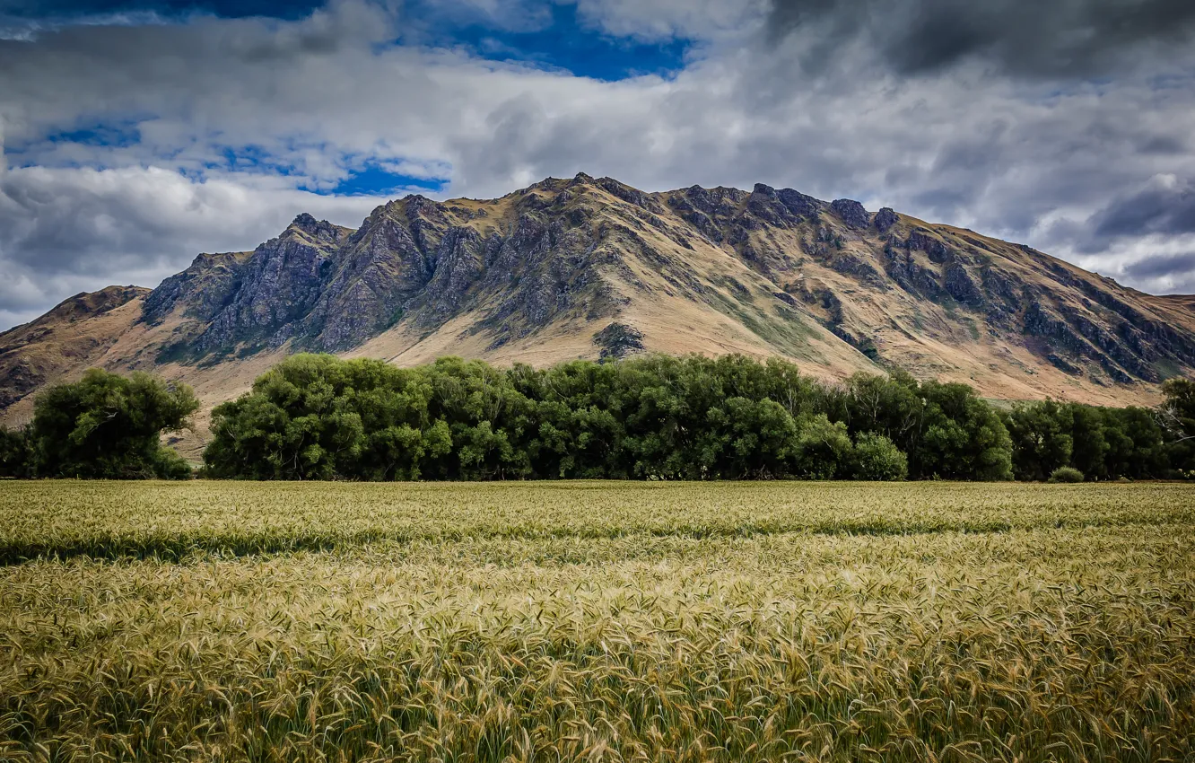 Фото обои трава, облака, горы, поля, grass, mountains, clouds, fields