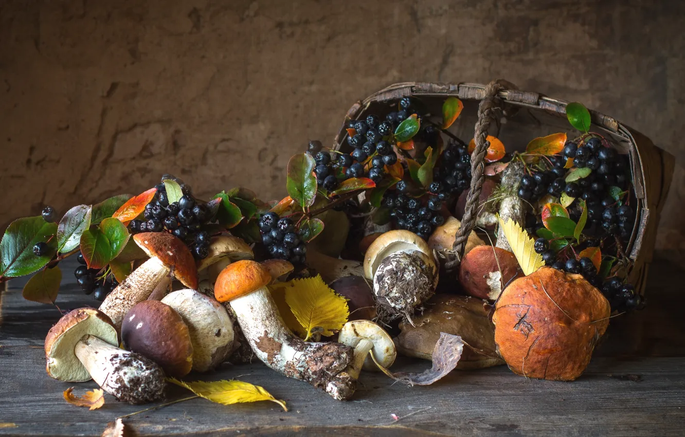 Фото обои осень, корзина, грибы, арония