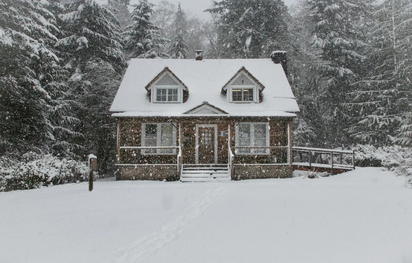Фото обои Зима, Домик, House, Winter, Снегопад, Зимний Лес, Snowfall, Winter Forest