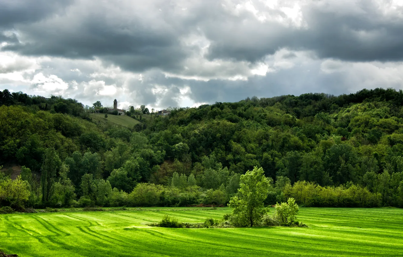 Фото обои зелень, поле, трава, деревья, тучи, холмы, Италия, Lugagnano Val dArda