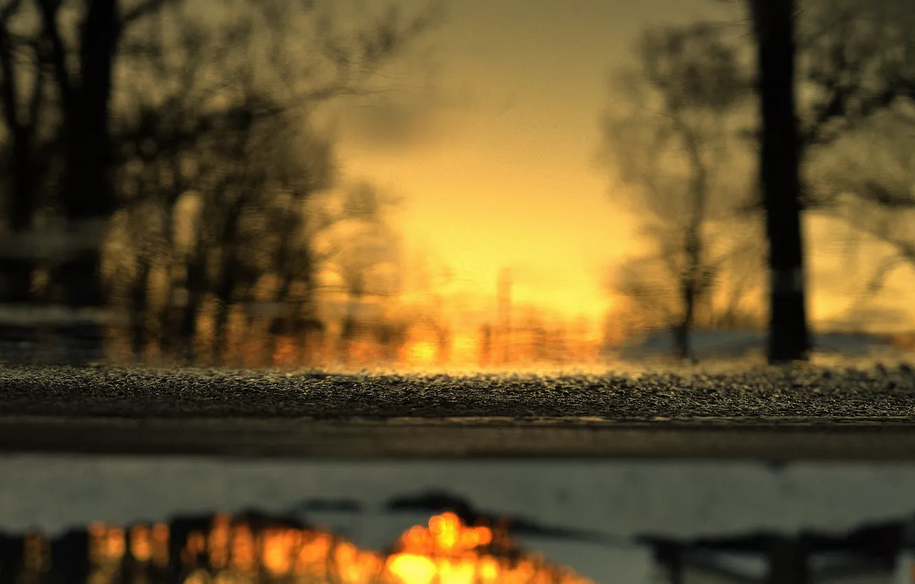 Фото обои зима, асфальт, деревья, отражение, лужа, закат солнца, глубина резкости