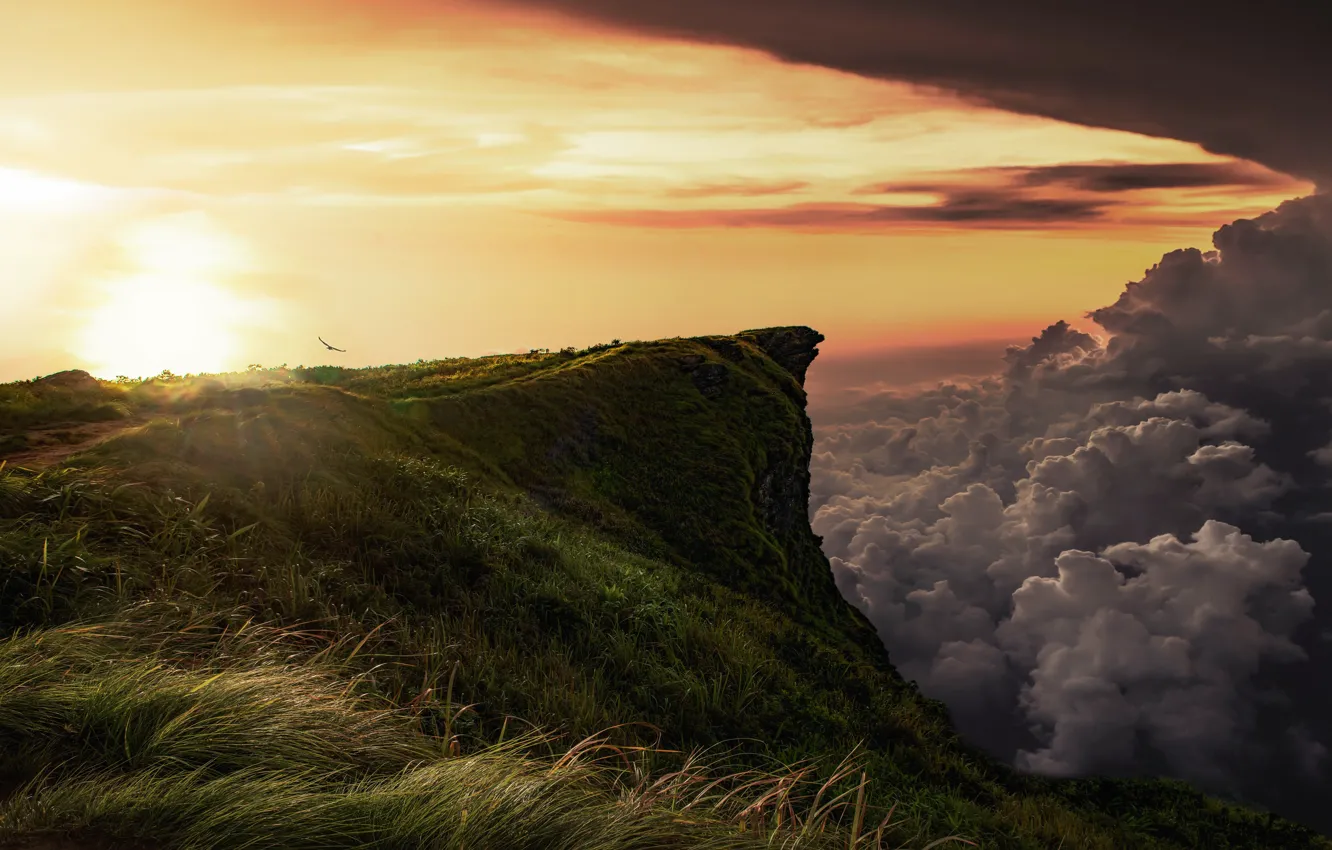 Фото обои трава, солнце, облака, лучи, пейзаж, закат, горы, природа