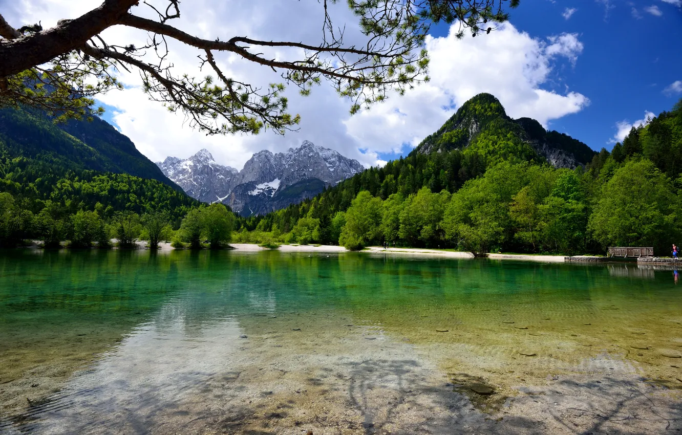 Фото обои лес, горы, озеро, Словения, Jasna Lake