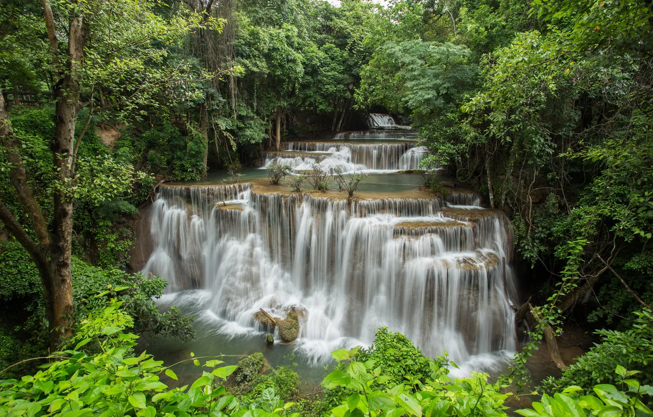 Фото обои зелень, лес, деревья, камни, водопад, Таиланд, каскад, кусты