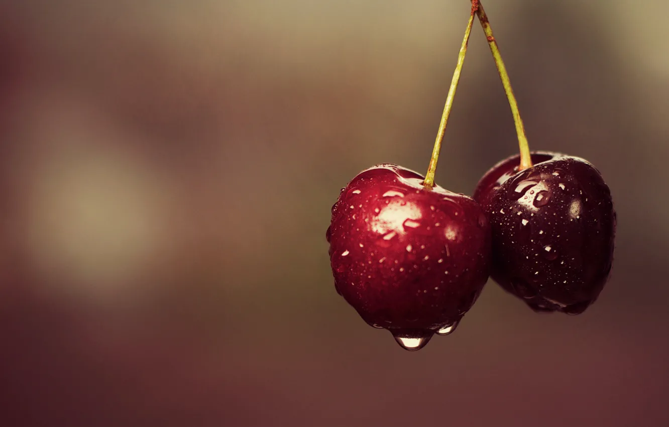 Фото обои вишня, две, еда, ягода, черешня