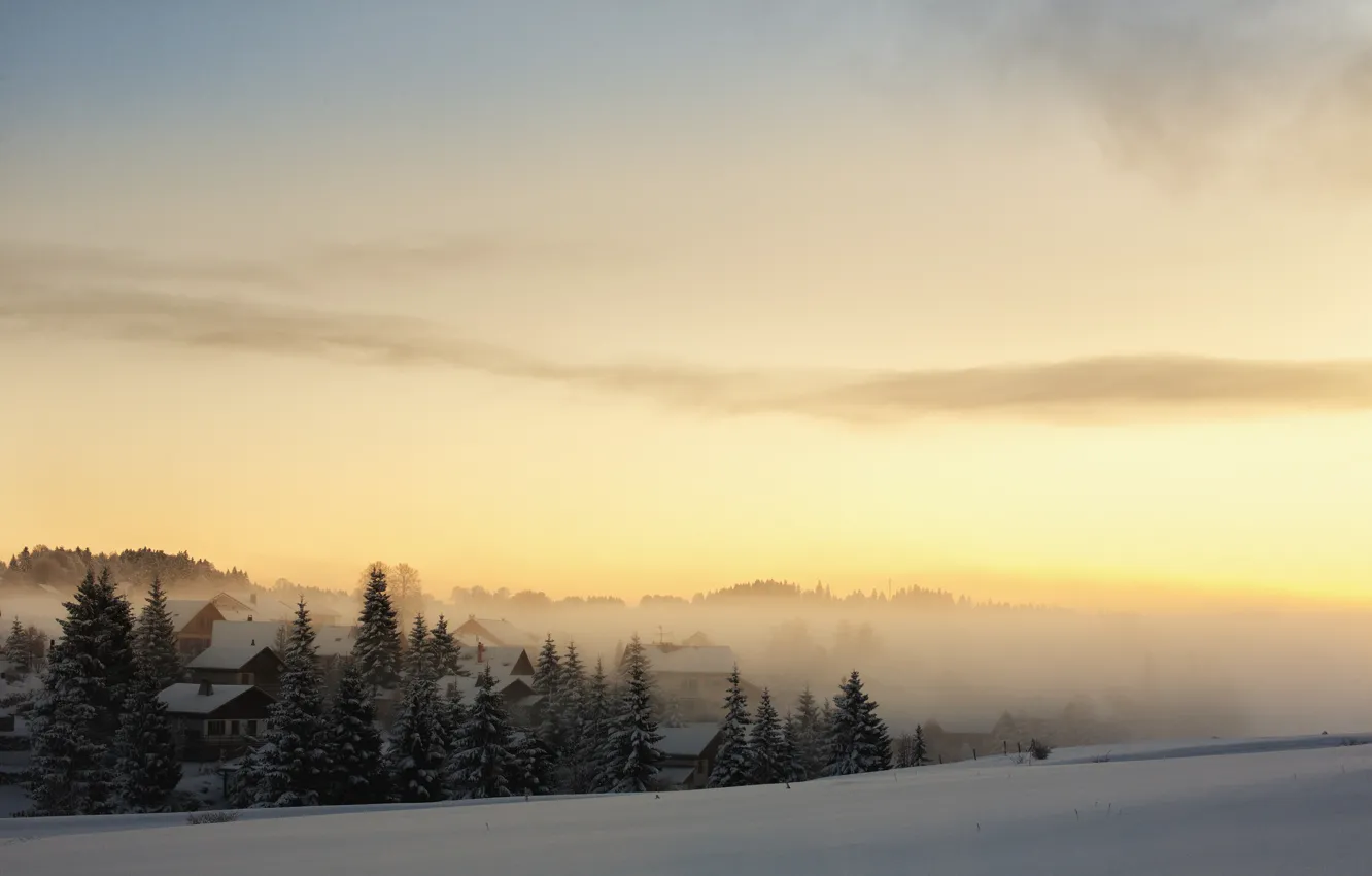 Фото обои зима, лес, снег, туман, рассвет, дома, утро, ели