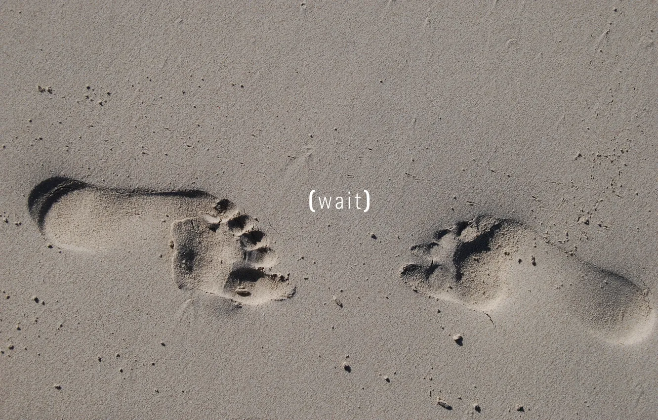Фото обои песок, пляж, следы, ситуации, настроение, минимализм, wait