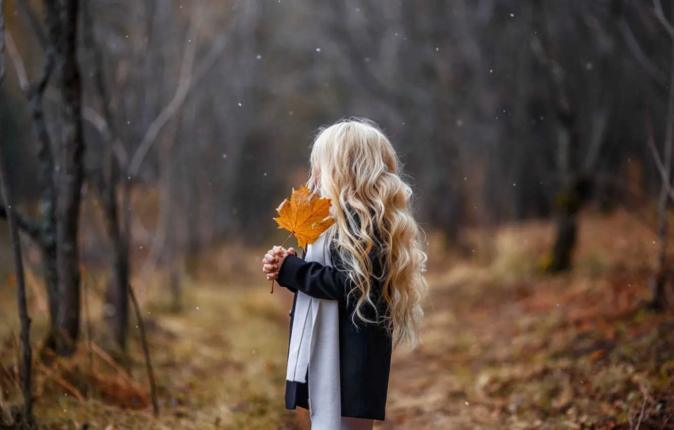 Фото обои осень, лист, девочка