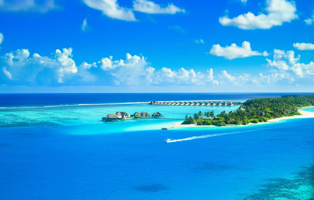 Фото обои sea, island, Maldives, boat, palm tree