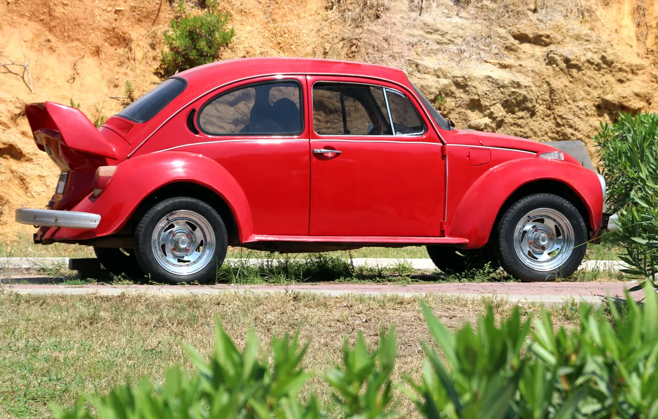 Фото обои машина, жук, автомобиль, красная, кусты, Фольксваген, Volkswagen Beetle