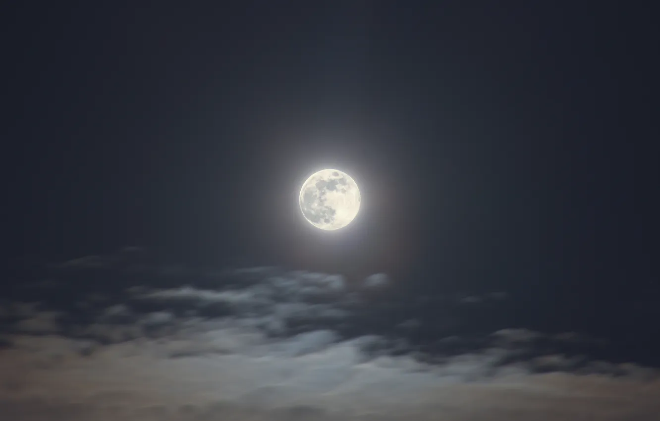 Фото обои небо, облака, природа, вечер, полнолуние, январь, Stan, Волчья Луна