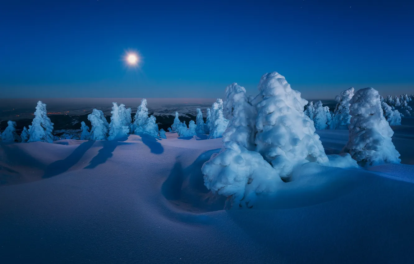 Фото обои зима, снег, деревья, пейзаж, ночь, природа, луна, ели