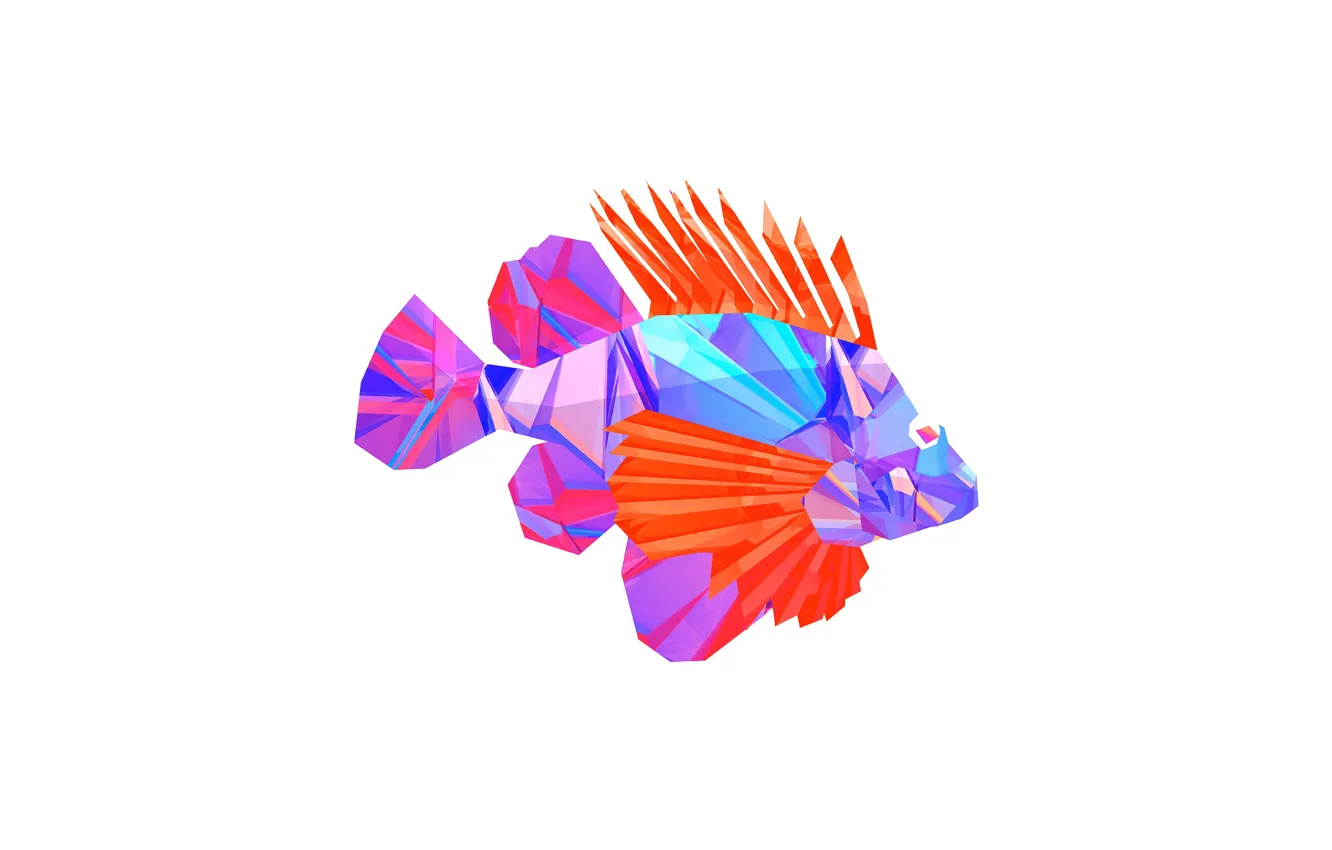 Фото обои абстракция, краски, рыба, плавник