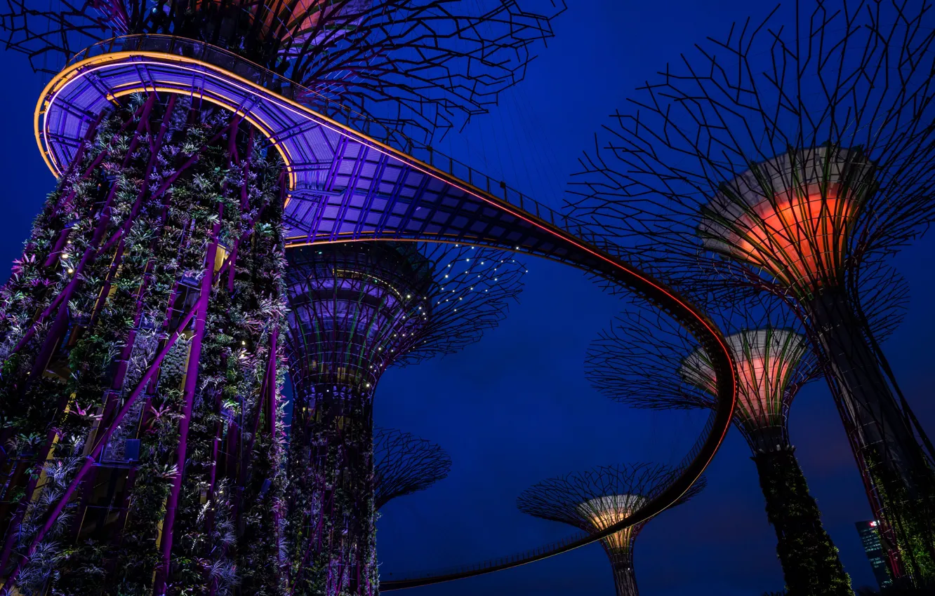 Фото обои ночь, дизайн, огни, конструкция, Сингапур, башни, сады, Gardens by the Bay