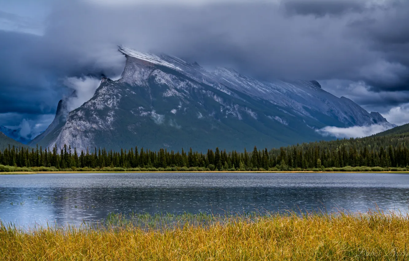 Фото обои лес, облака, горы, озеро, Канада, Альберта, Banff National Park, Alberta