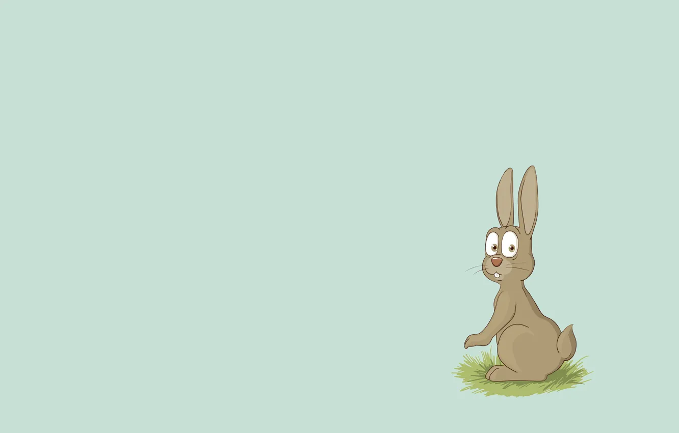 Фото обои животное, заяц, минимализм, кролик, rabbit, ухи