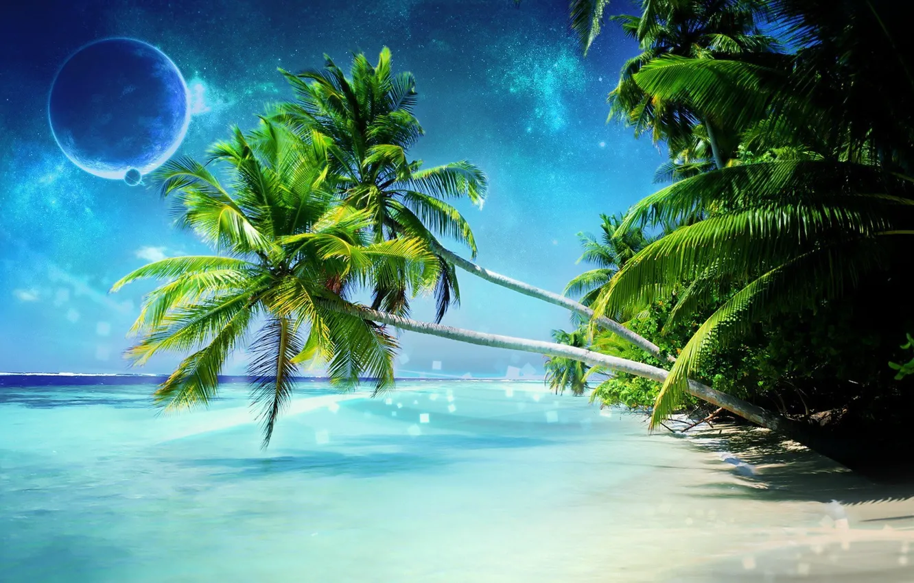 Фото обои море, пальмы, планета, Берег, Dreamy World