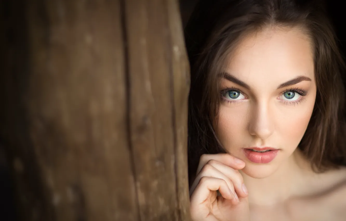 Фото обои girl, Model, green eyes, photo, photographer, lips, face, brunette