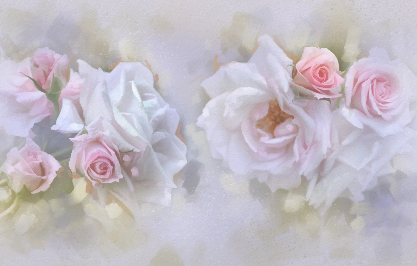 Фото обои нежность, розы, пастель, бутоны