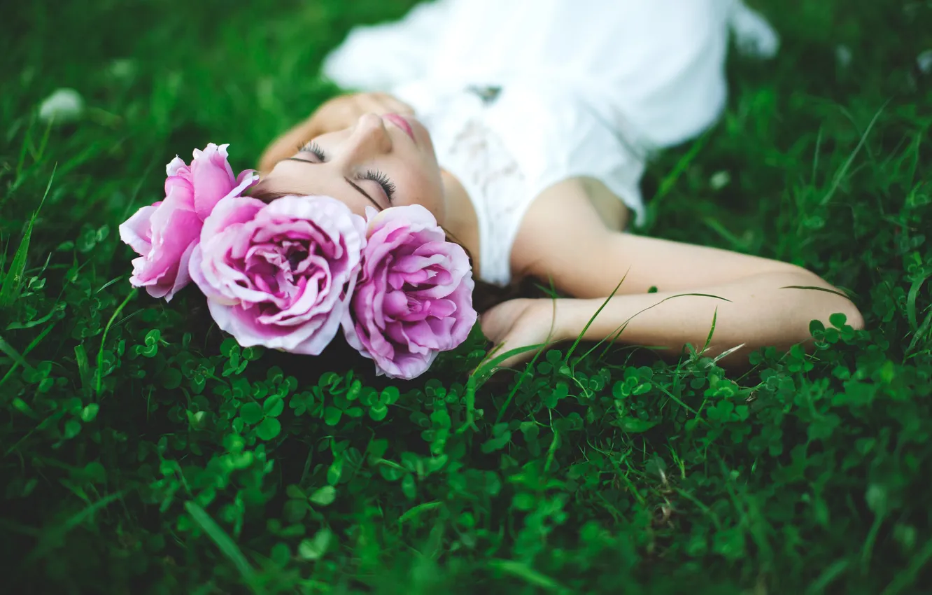 Фото обои трава, девушка, цветы, брюнетка, лежит