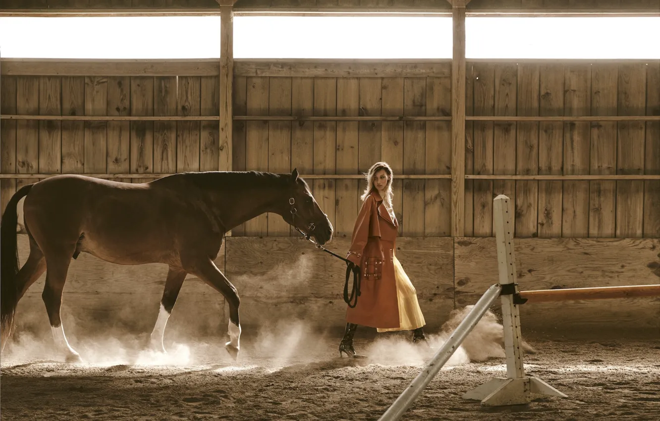 Фото обои девушка, конь, модель, лошадь, Bella Hadid
