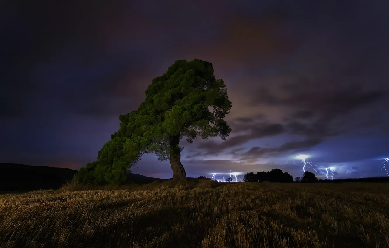 Фото обои гроза, ночь, дерево, night, tree, thunderstorm, Paco Herrero