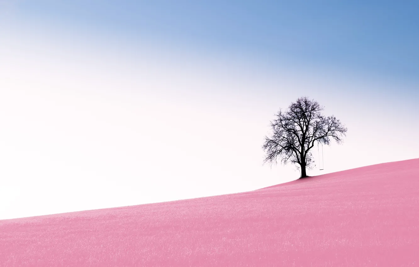 Фото обои небо, дерево, розовый, качеля