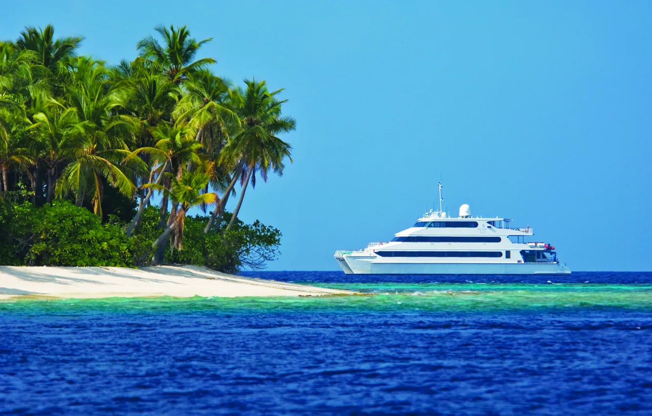Фото обои пальмы, океан, яхта