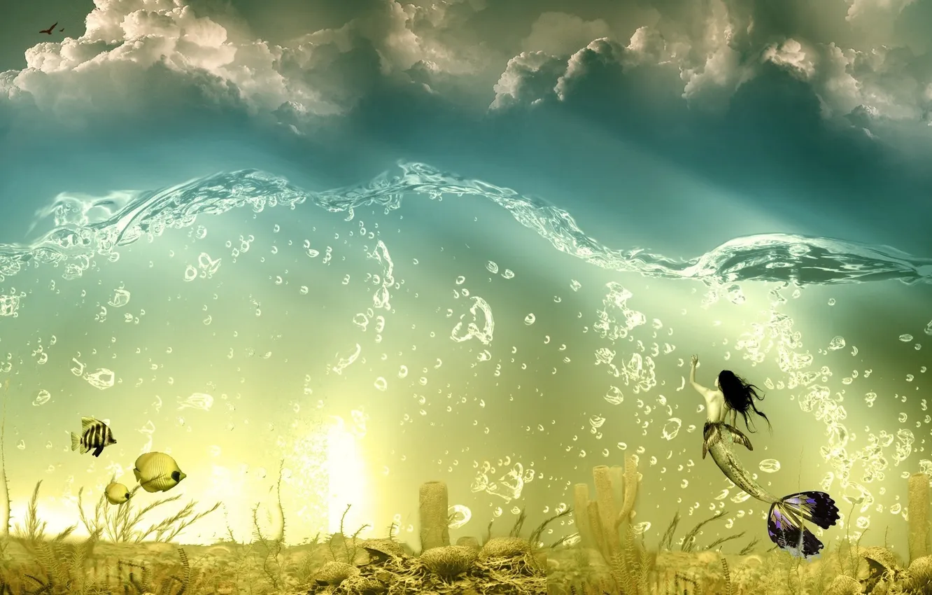 Фото обои небо, вода, облака, рыбы, водоросли, пузыри, коллаж, русалка