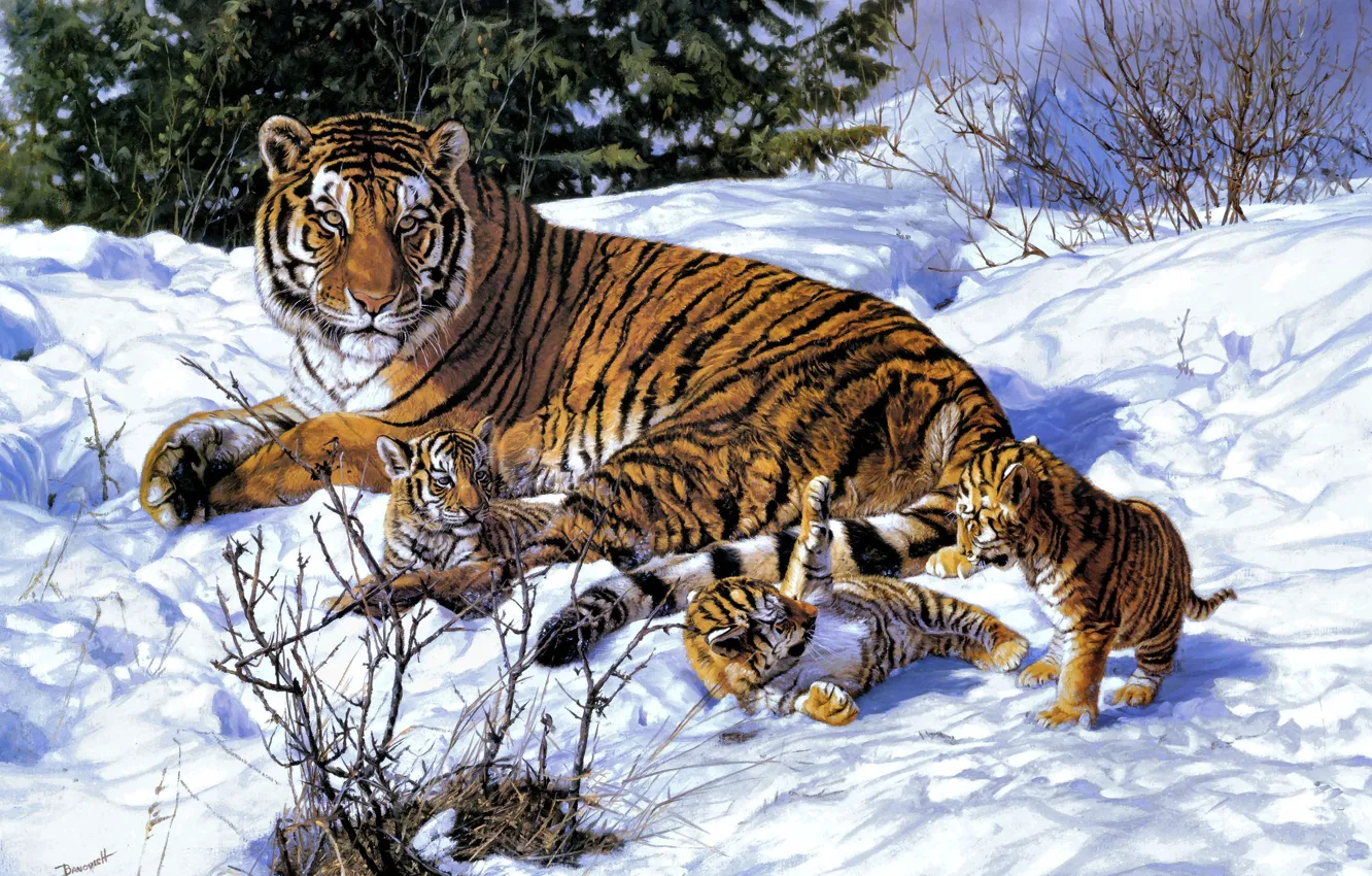 Фото обои зима, снег, арт, тигры, тигрица, тигрята, John Banovich