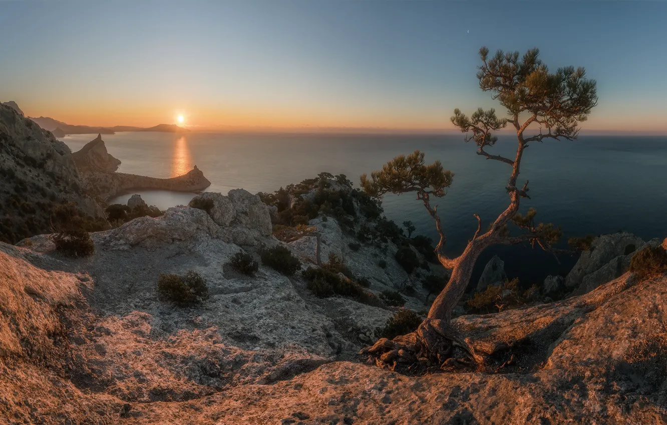 Фото обои море, солнце, пейзаж, природа, дерево, скалы, рассвет, берег