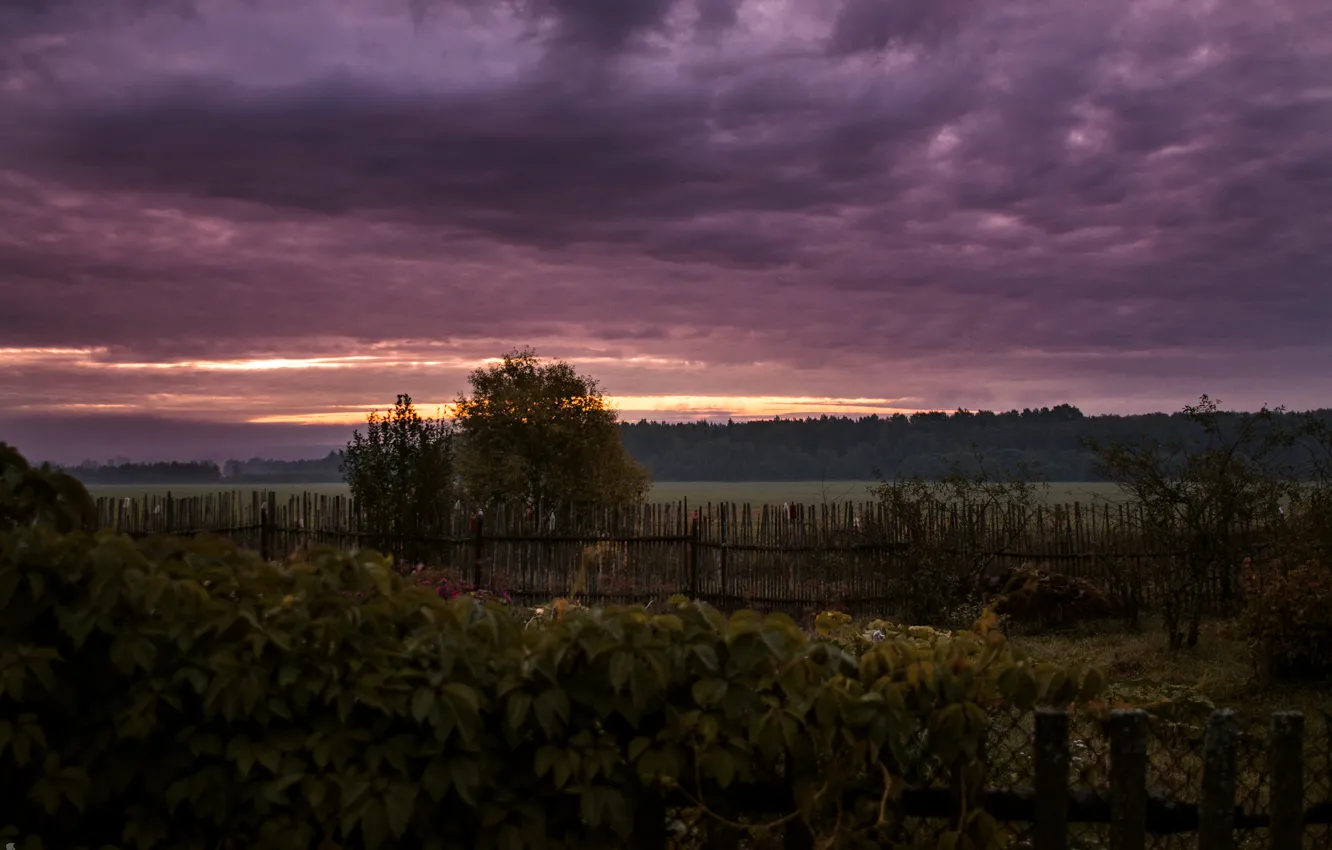 Фото обои лес, небо, солнце, тучи, рассвет, деревня