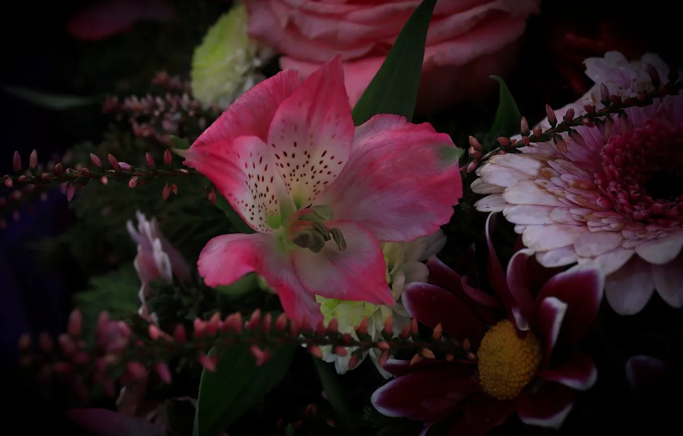 Фото обои цветы, розовая, букет, георгина, разные, гербера, альстромерия