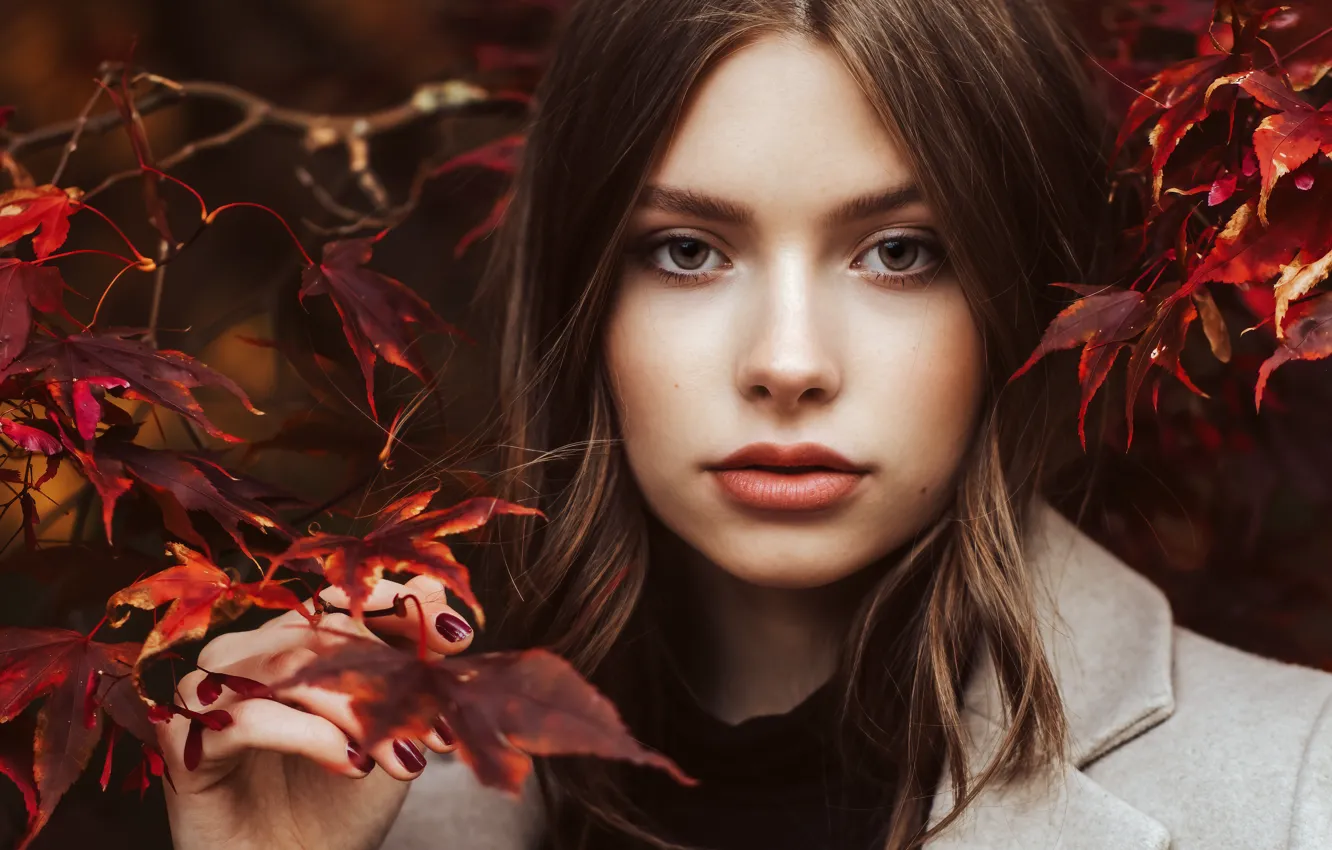 Фото обои осень, взгляд, листья, девушка, лицо, рука, портрет, Andreas-Joachim Lins