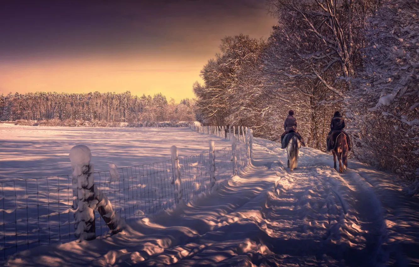 Фото обои зима, снег, обработка, конная прогулка