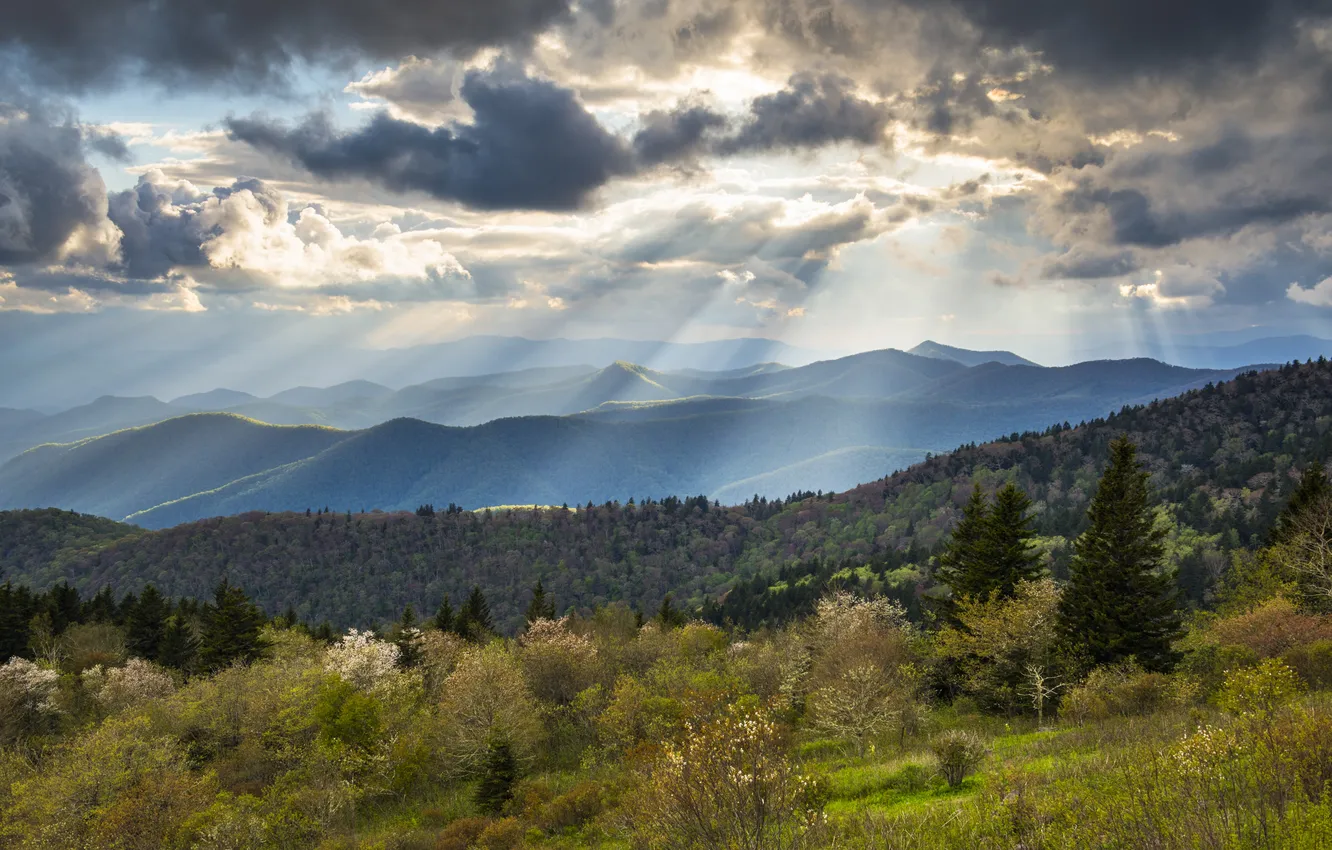 Фото обои blue, beams, carolina, allen, calming, appalachian, asheville, appalachia
