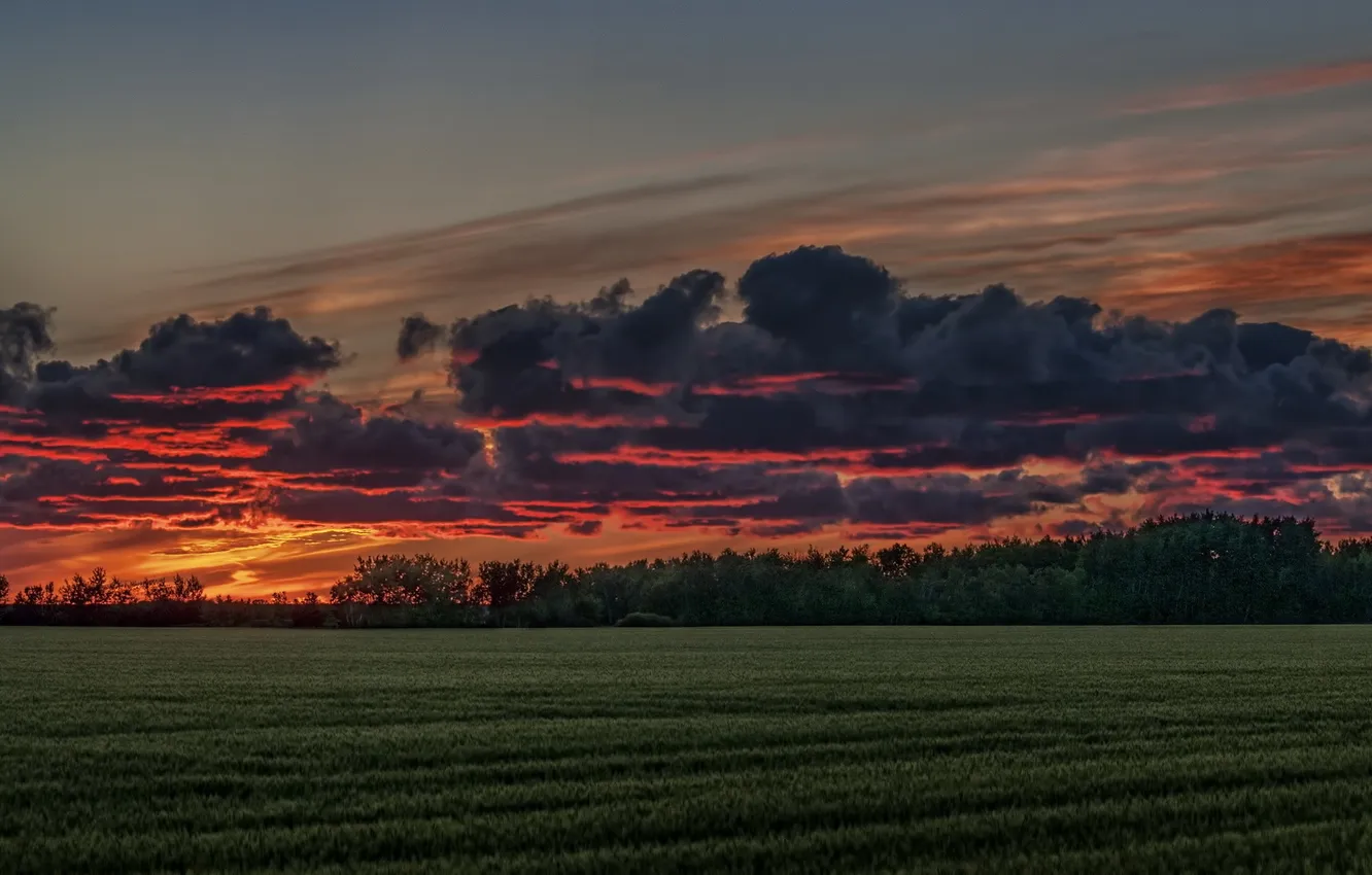 Фото обои Sunset, Summer, Manitoba